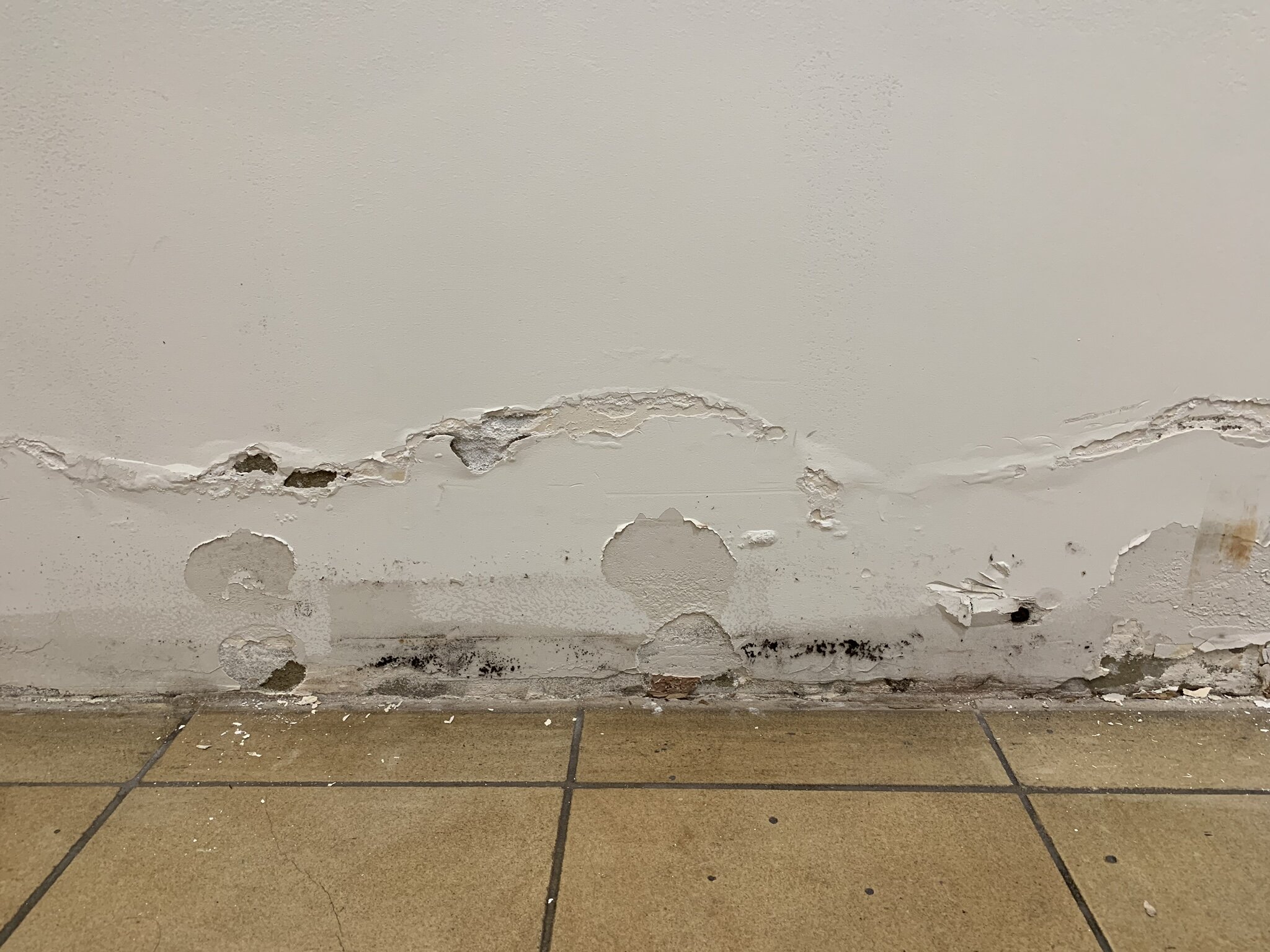 Rising Dampness Perth