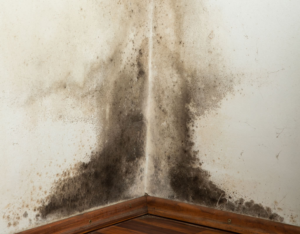 Leaking Shower Example