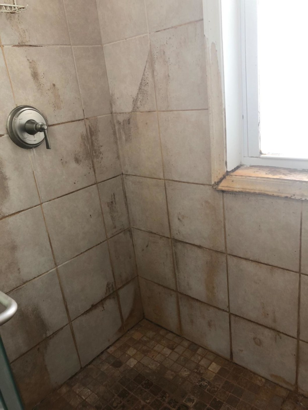 Preventing Bathroom Mould