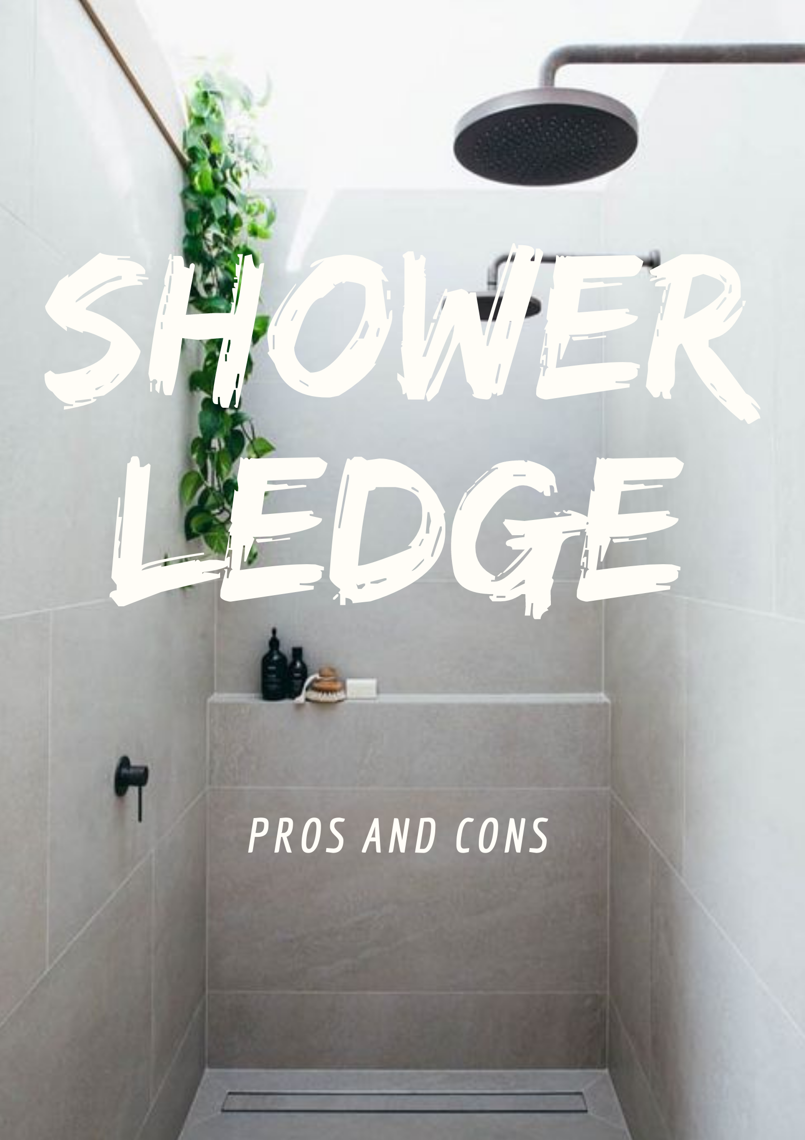Pros and Cons Of The Shower Ledge