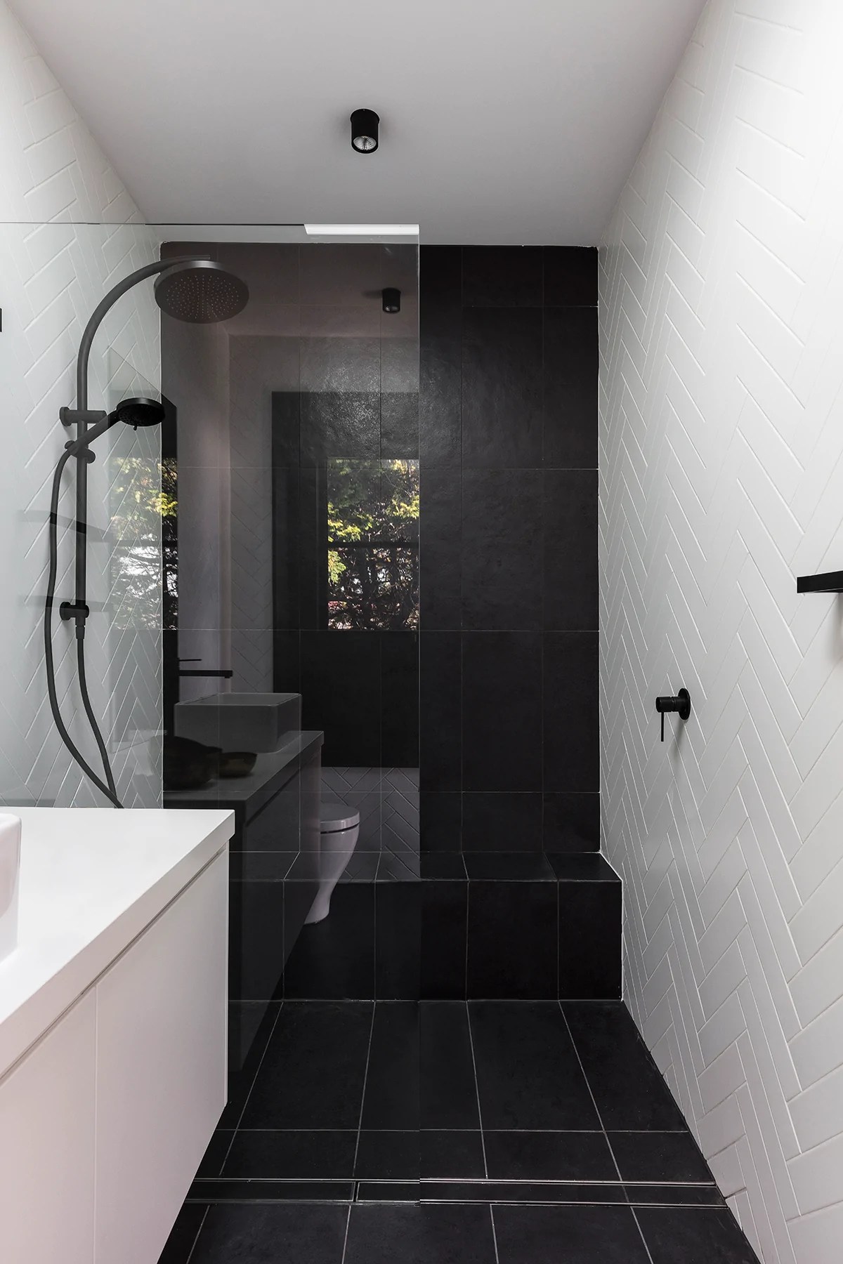 Mobility Issue Bathroom Modern