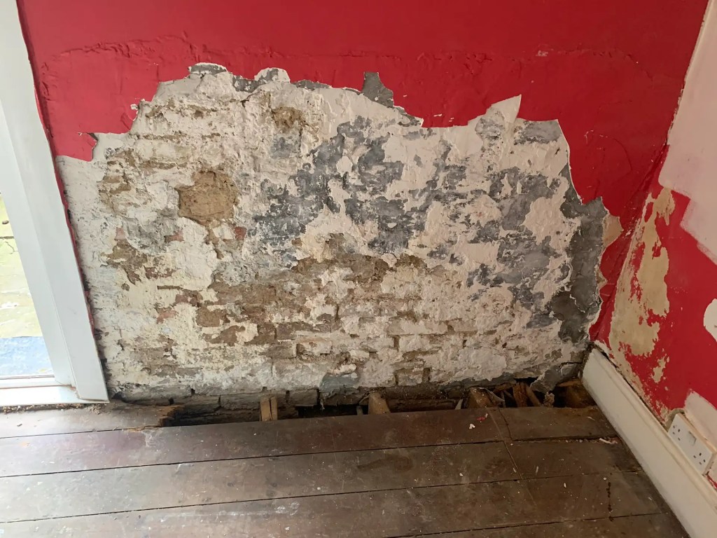 Why Is My Shower Leaking Into The Walls