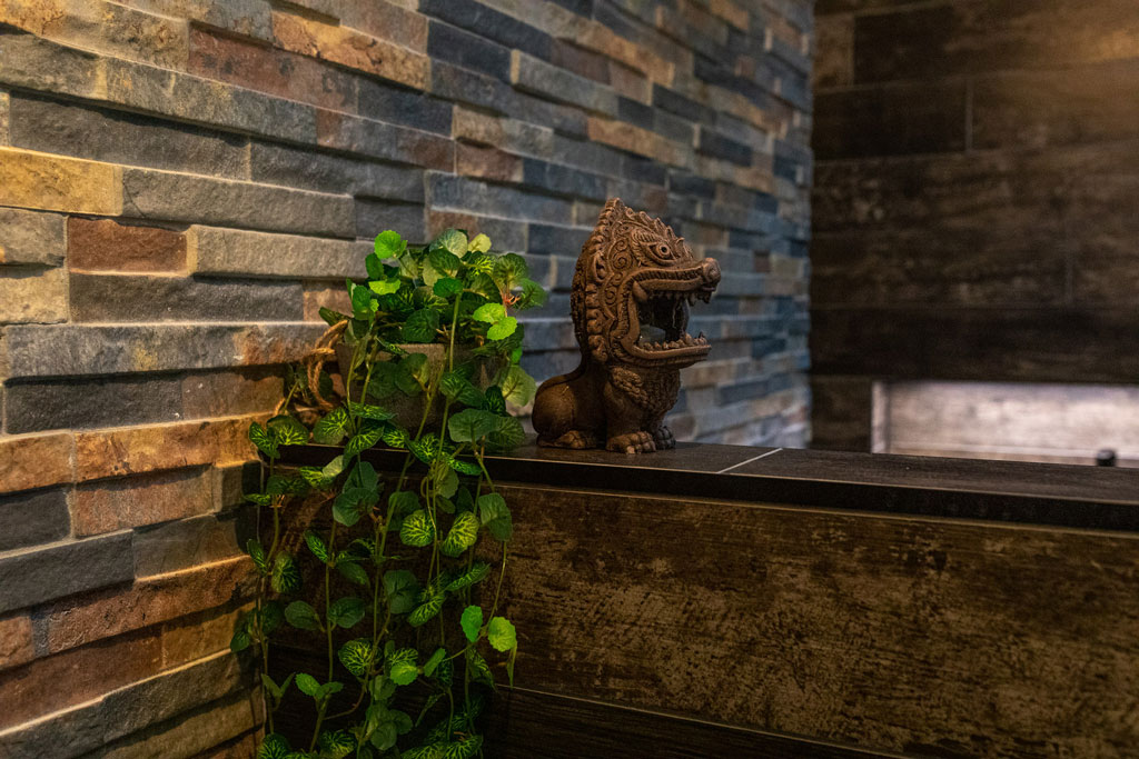 Stone Walls In Bathrooms