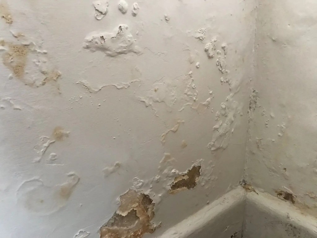 Flaking Paint Outside Bathroom