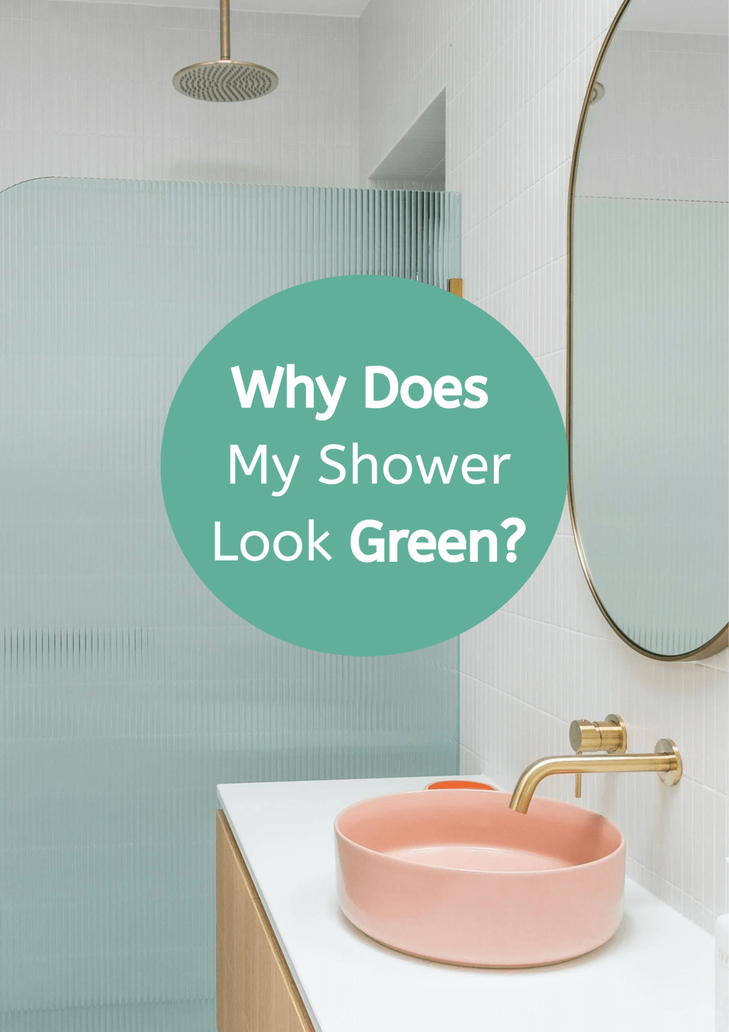 The Bathroom Guy Jim