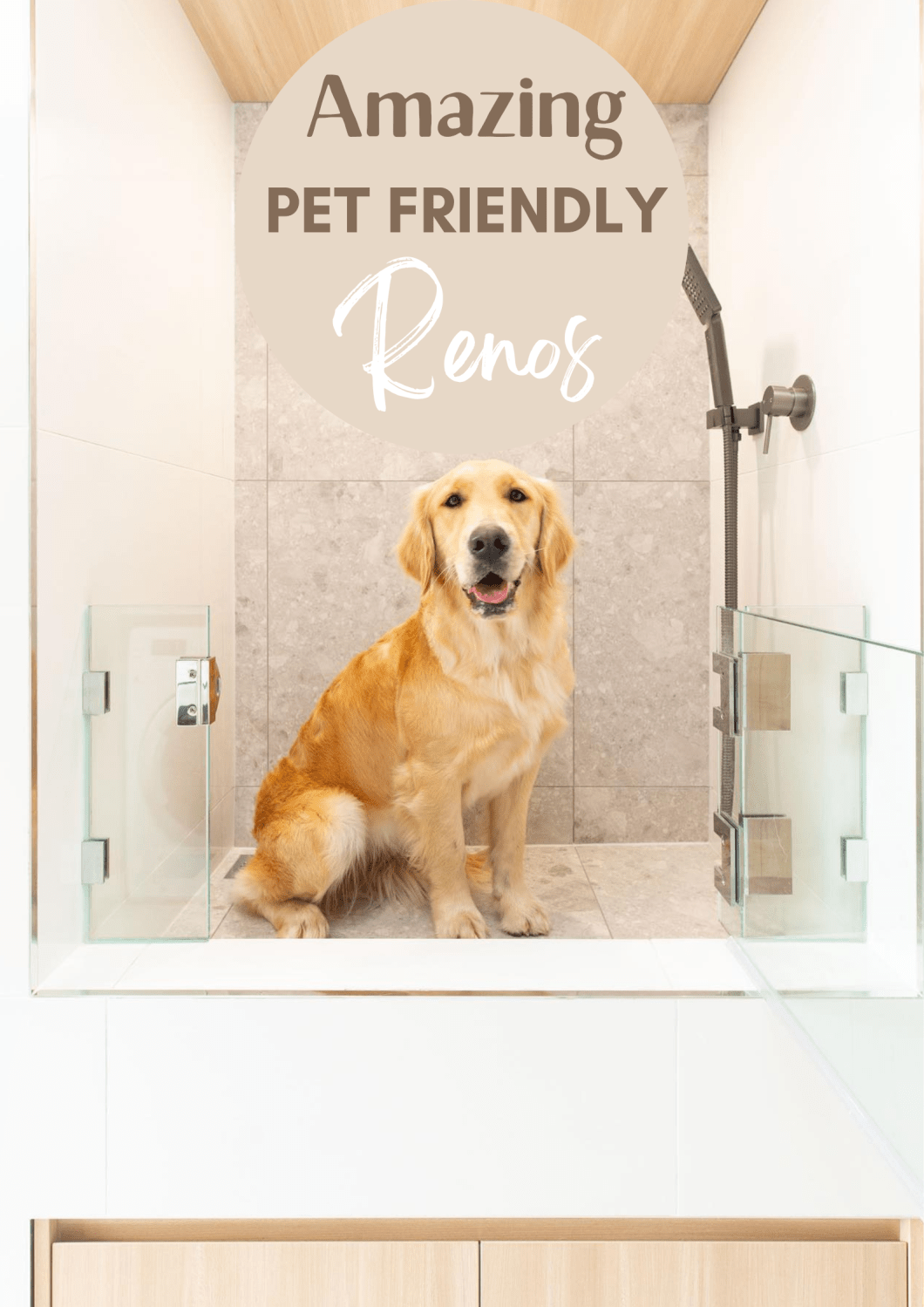 Pet Friendly Laundry Renovations